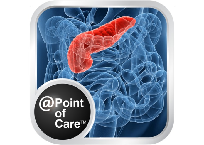 Diabetes: Voice-enabled, interactive mobile platform – screenshot 1