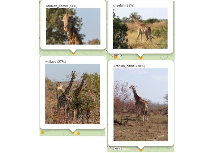 Map My Game – screenshot 2