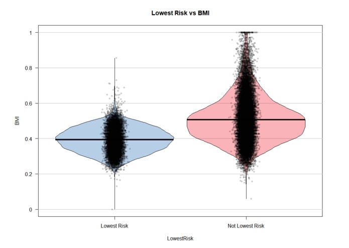 Prudential Risk Evaluation: Modeling & Visualizations – screenshot 2