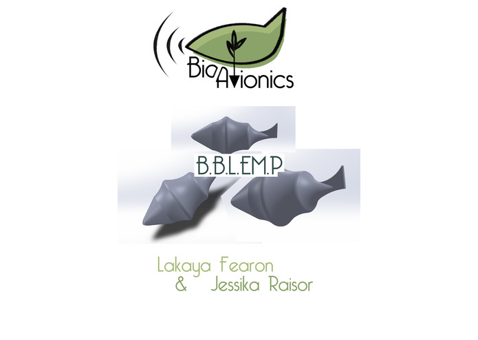 B.B.L.EM.P – screenshot 2