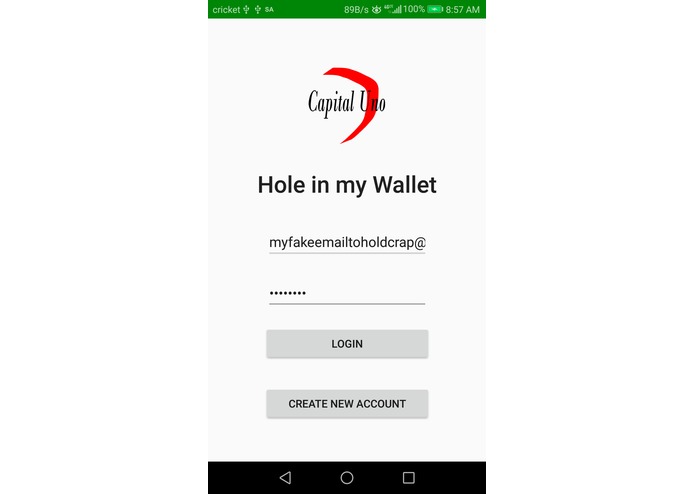HoleInMyWallet – screenshot 2