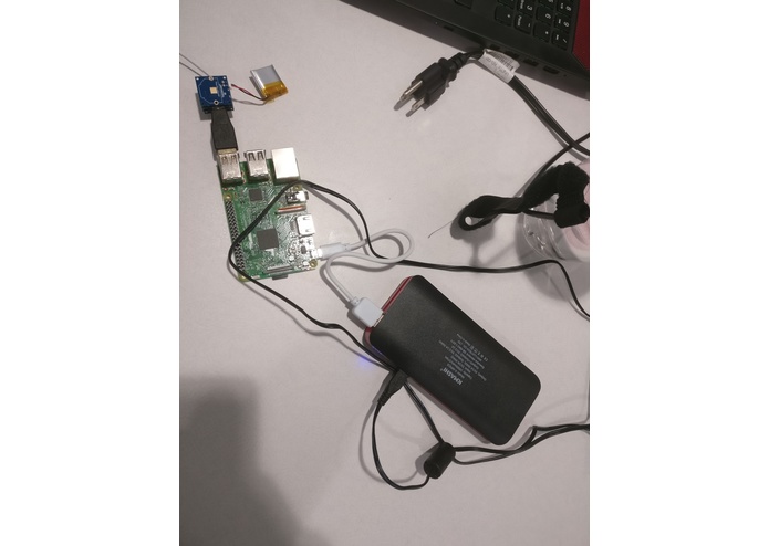 Travel-Dog – screenshot 1