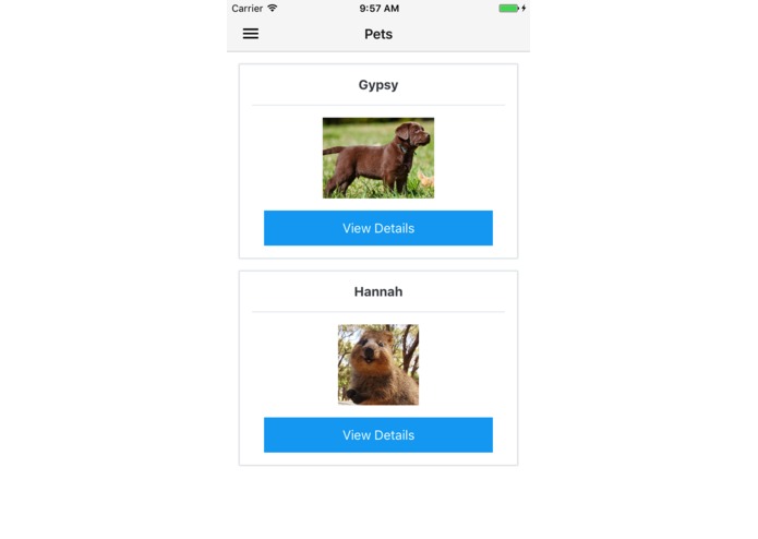 Kennel Kare – screenshot 7