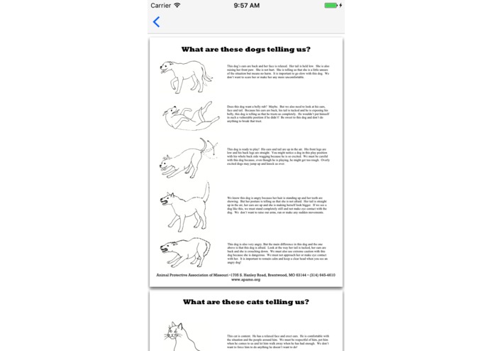 Kennel Kare – screenshot 8