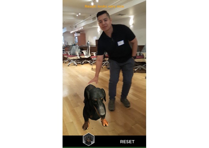 My Pet Pal – screenshot 4