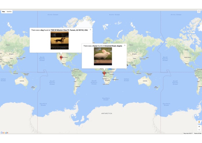 PetPal – screenshot 3