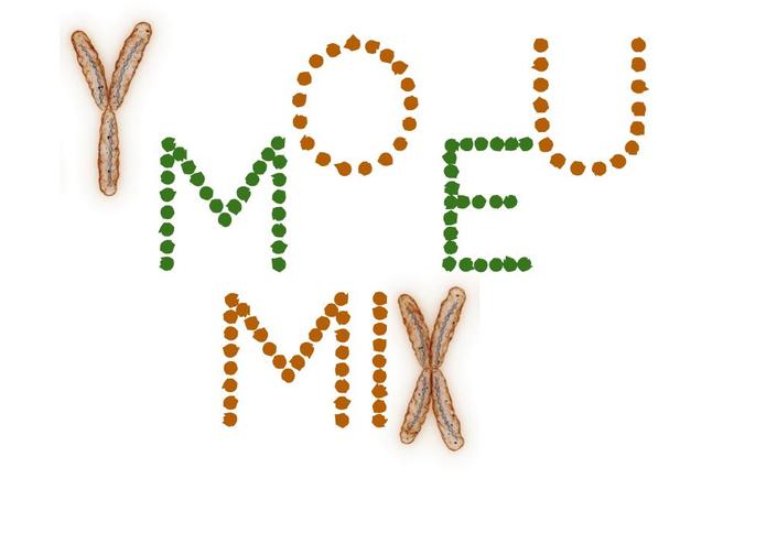 YouMeMix – screenshot 1