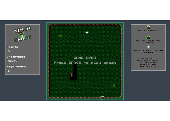 Ninja Snake – screenshot 1