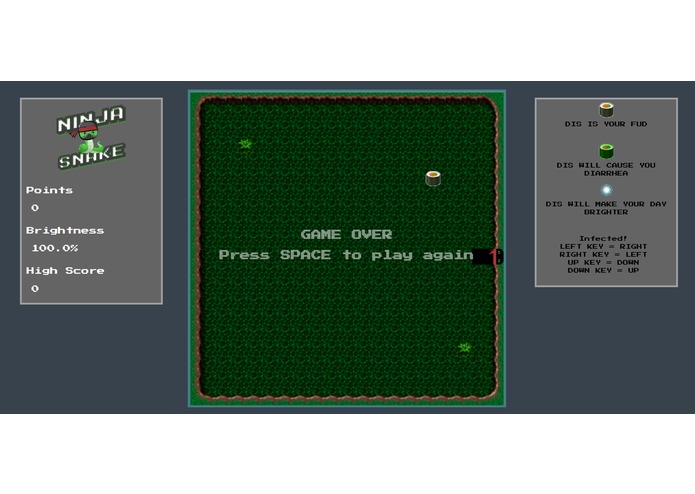 Ninja Snake – screenshot 3