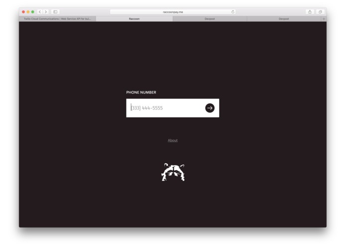 Raccoon Pay – screenshot 1