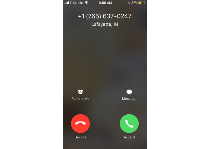 tamaGO! – screenshot 4