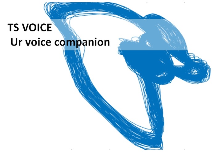 the voice coaching – screenshot 1