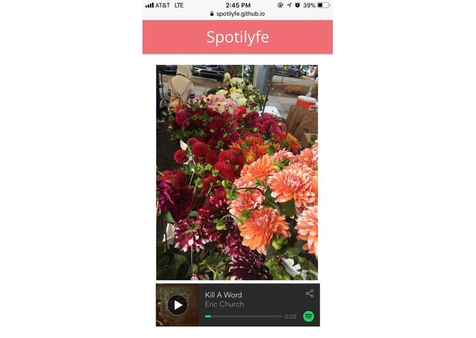 Doe Rae Me – screenshot 1