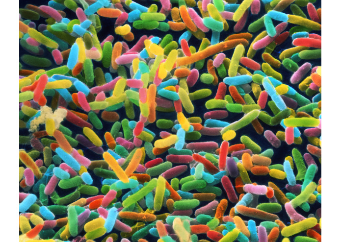 T2D & Me – screenshot 1