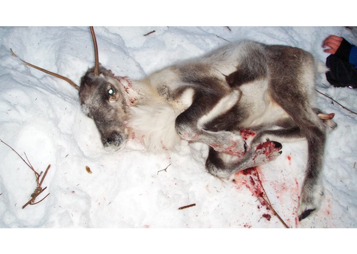 Example – screenshot 1