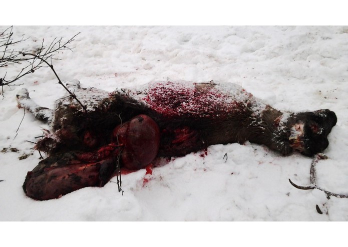 Example – screenshot 2