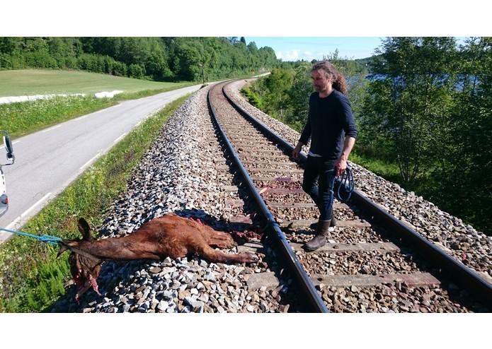 Example – screenshot 6