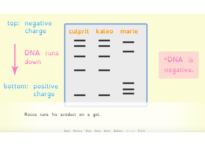 Raccoonies – screenshot 5