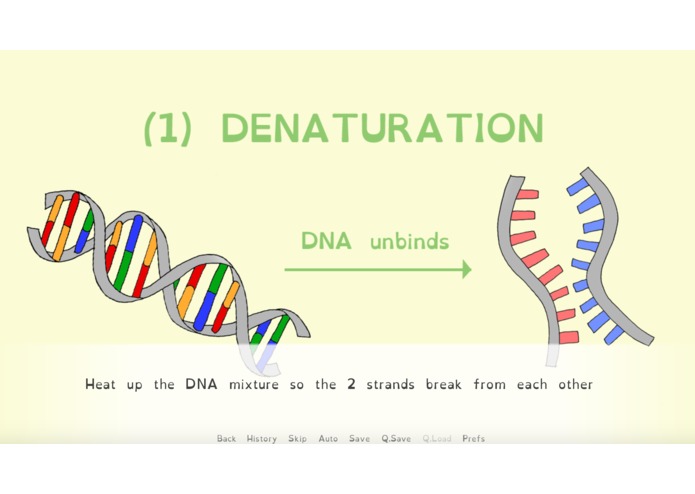 Raccoonies – screenshot 3