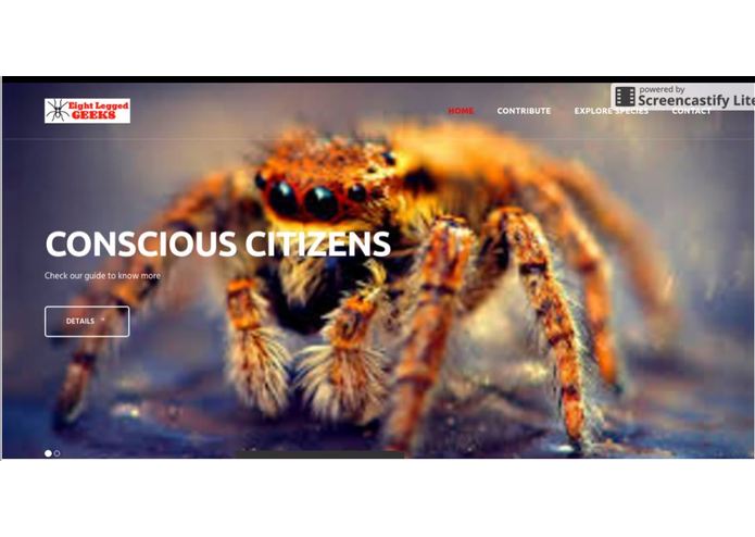 EightLeggedGeeks – screenshot 1