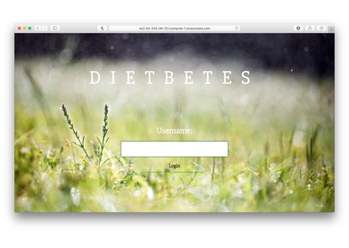 Dietbetes – screenshot 1