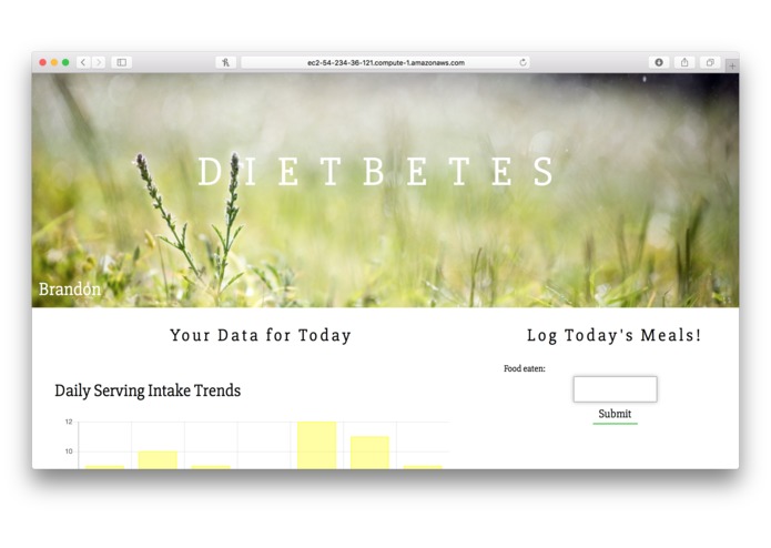 Dietbetes – screenshot 3