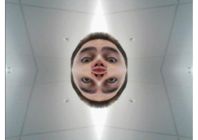 Warpy – screenshot 1