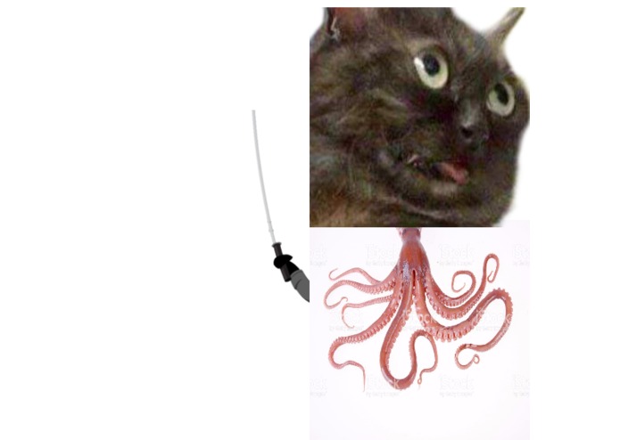 custocat.com – screenshot 1