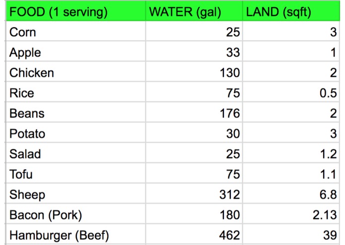 Survivearth – screenshot 2