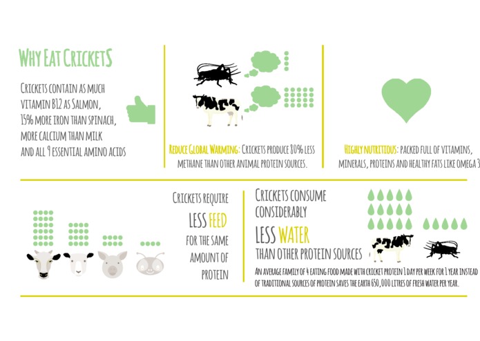 Cricker -insects for the masses – screenshot 3
