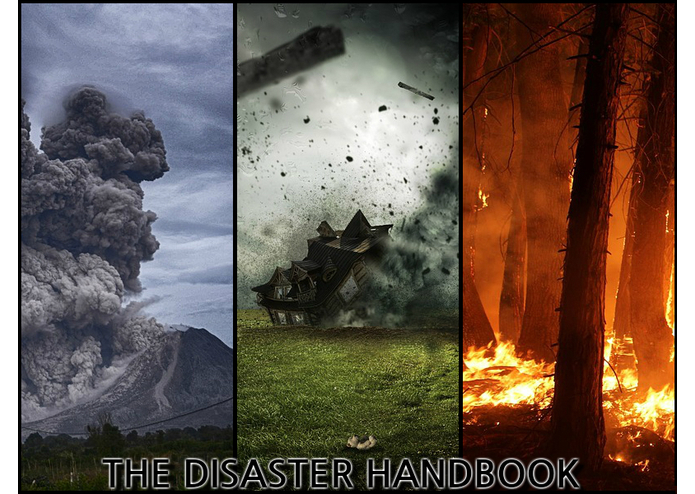 The Disaster Handbook – screenshot 1