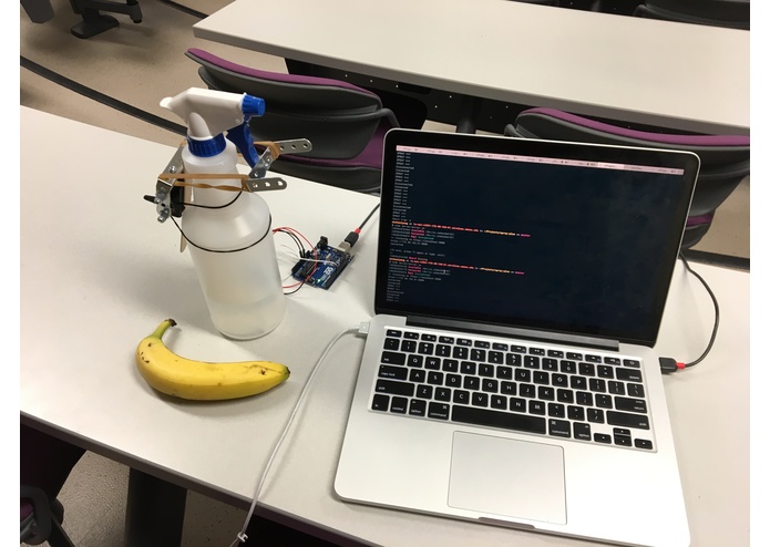 Spray Plus – screenshot 1