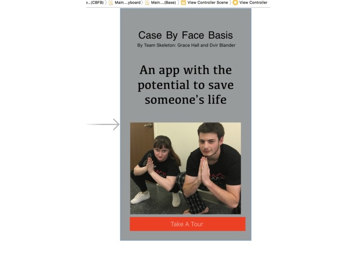 Case By Face Basis  – screenshot 2