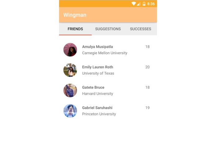 Wingman – screenshot 2