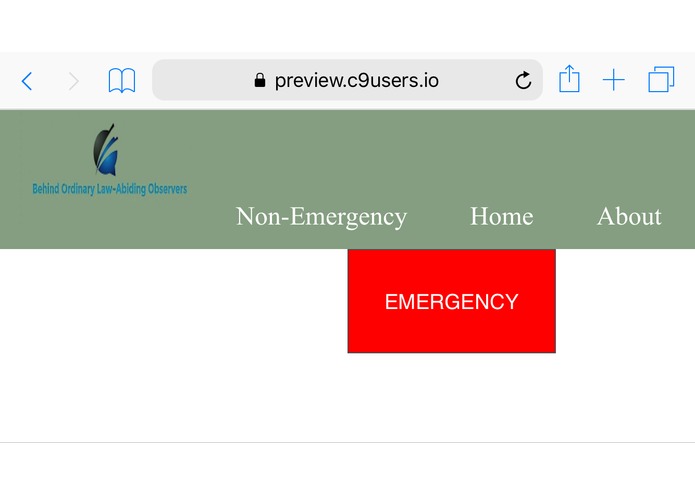 Behind Ordinary Law-Abiding Observers (BOLO) – screenshot 2
