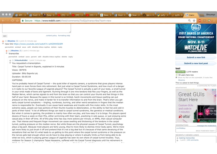 TranscriberBot – screenshot 1