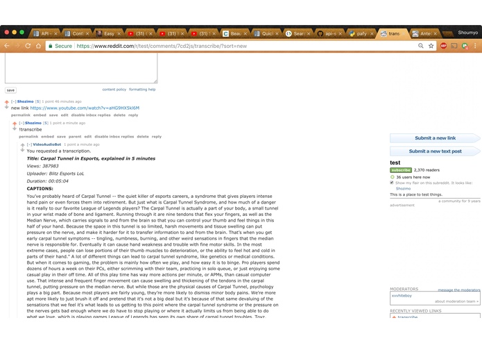 TranscriberBot – screenshot 2