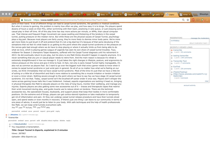 TranscriberBot – screenshot 3