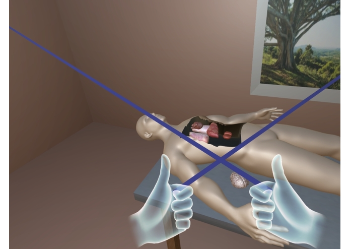 VR Medical Demo – screenshot 1
