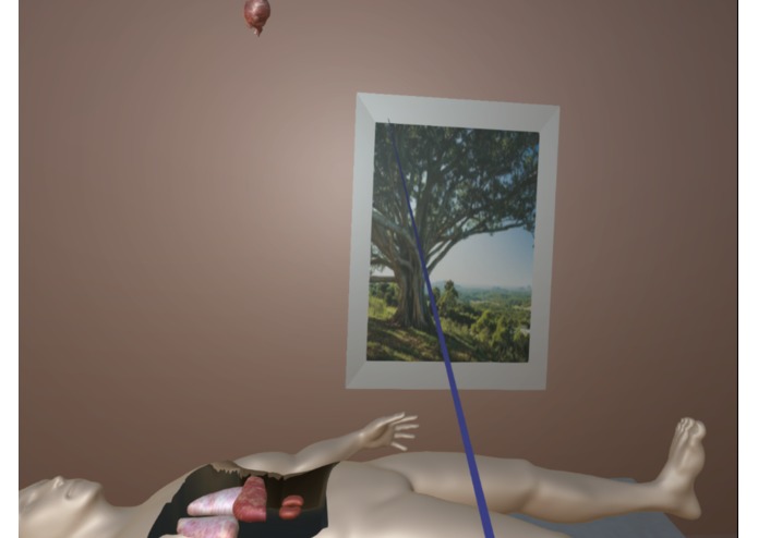 VR Medical Demo – screenshot 3