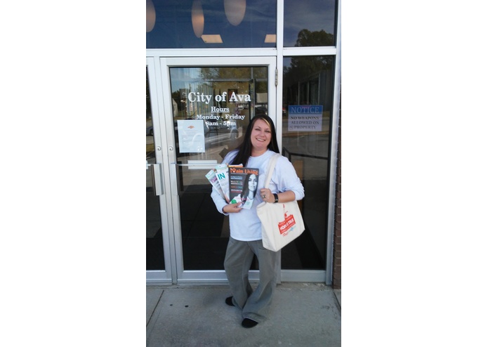 Missouri Impact Project – screenshot 2