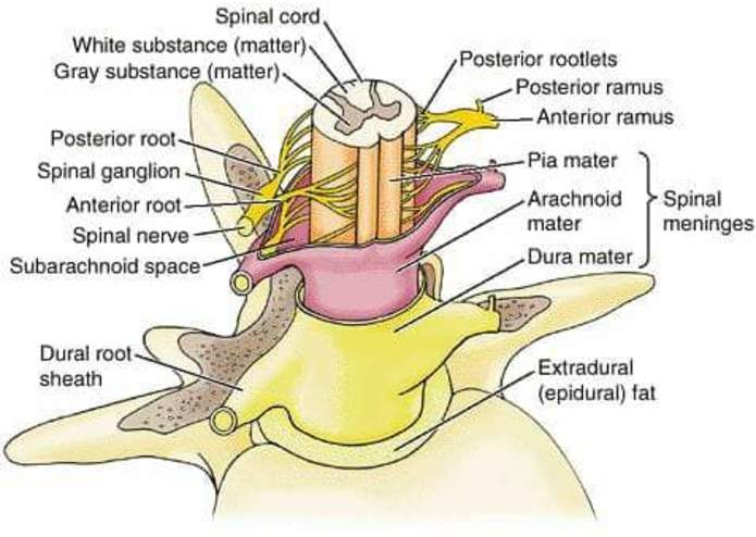 Missouri Impact Project – screenshot 5