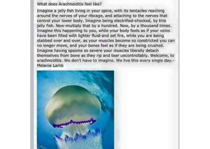 Missouri Impact Project – screenshot 7