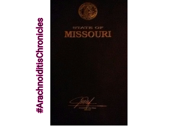 Missouri Impact Project – screenshot 1