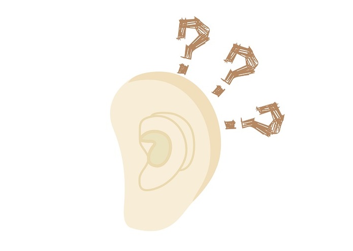 Alexa skill, Sounds What – screenshot 2