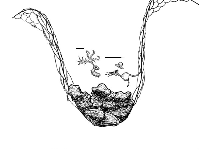 burd – screenshot 3