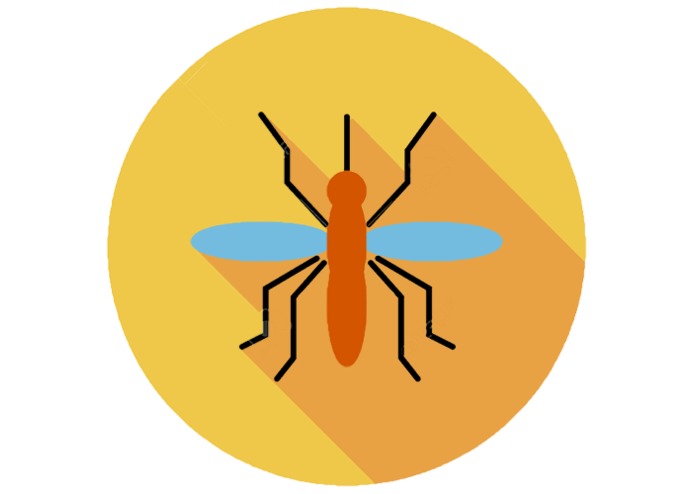 Bite D.tech – screenshot 2