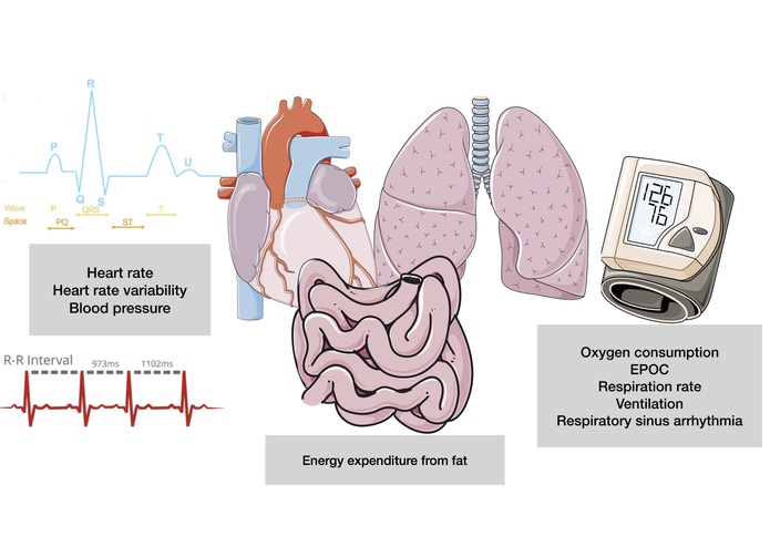 Columbus – screenshot 2
