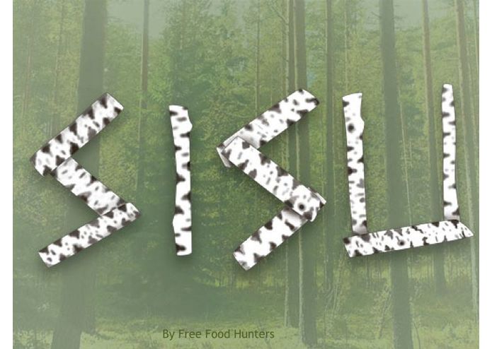 Sisu games – screenshot 1