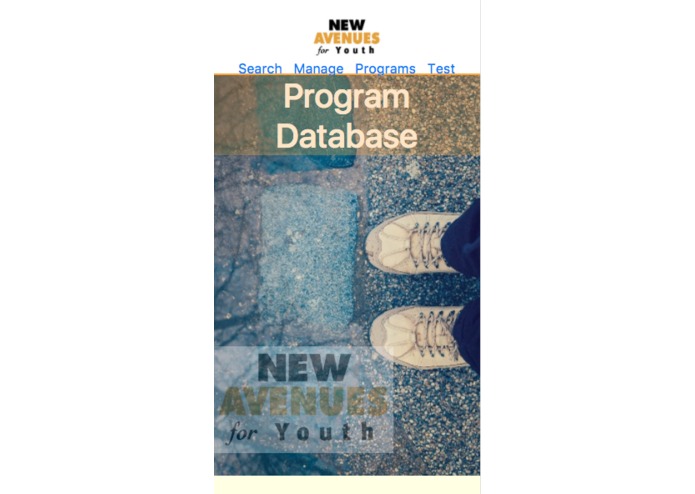 New Avenues for Youth Program Management  – screenshot 1